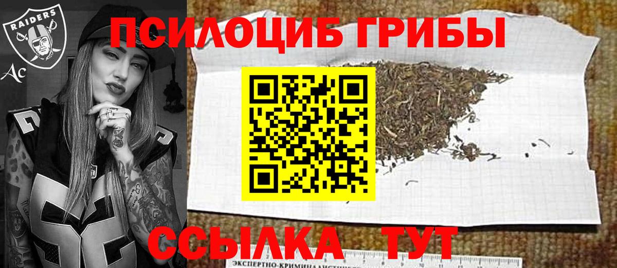 Верхняя Пышма  Псилоцибиновые грибы MAGIC MUSHROOMS  Вход с VPN 